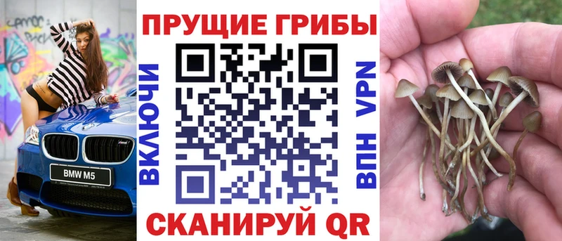 кракен tor  цены наркотик  Сасово  Псилоцибиновые грибы мухоморы 